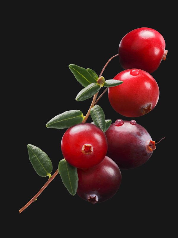 How to Style a Fitted Turtleneck Under a Shift Dress for a Chic Layering Effect?